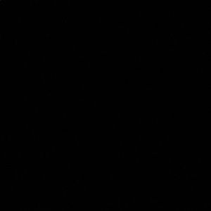 Meet your Posher, Berta